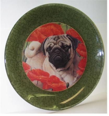 Dog plate